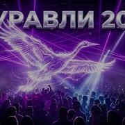 Журавли прилетели песня которая возвращает молодость Remix 2025