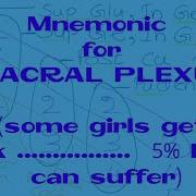 Mnemonic For Sacral Plexus Sacral Plexus Mnemonic How To Remember Spinal Levels Of Sacral Plexus