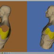 VTK Example Decimation Cxx