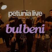 Bul Beni Petunia Live Kadıköy