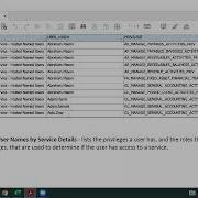 Oracle Cloud ERP Authorized User Privilege Reports