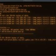 Python ASMR Ping Multiple IP Addresses From TXT File No Talking