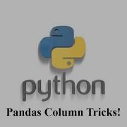Pandas Column Tricks In Python Add Reorder Replace Rename More