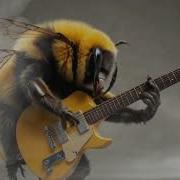 Killer Bee Rocks An Original Bug Muzak Track Killer Bees Heavy Metal Madness