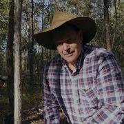 Measuring Tree Density