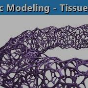 Tissue Addon Dual Mesh In Blender