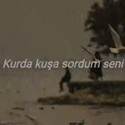 Ferhat Tunç Söyle Nerdesin