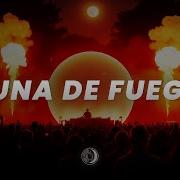 Palm Monkey Luna De Fuego Afro House
