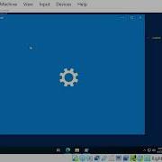 Build And Debug ROLLER With Zig Build