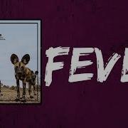 Balthazar Fever Lyrics