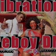 FIREBOY DML VIBRATION DANCE COVER