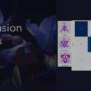 Classifying Iris Species
