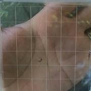 Yellow Fever Mosquitoes Found In Sacramento County