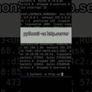 Create A Local Web Server In Seconds Using Python Hackprotech Operatingsystem Coding Python