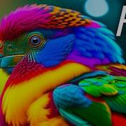 Best Of Dolby Vision 12K HDR 120fps