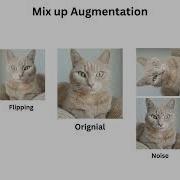 Mixup Augmentation