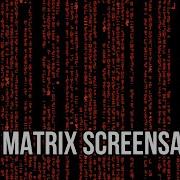 Red Matrix Screensaver 3 Hours Video