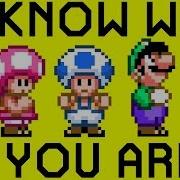 This Level Tells You Who You Are Playing As Super Mario Maker 2