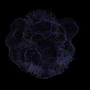 Plexus Blender Experiments