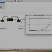 SOS 212 Basic Vensim Stock And Flow Diagram Simulation Tutorial