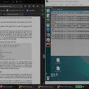 Local DNS Attack Lab
