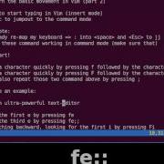 Vim Tutorial Basic Movement Part 2