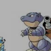Blastoise Feraligator Tribute Broadside