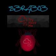 S3R43o3 TryHackMe Bugged Walkthrough