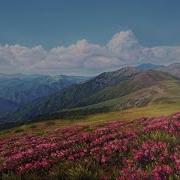 Teesa Theresa D Agostino Where Roses Bloom