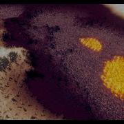 ORION Detailed Next Generation Planet Surface Rendering With Optimized Tessellation A