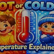 Temperature And Thermometers