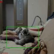 Python And OpenCV Basic Motion Detection And Tracking
