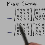 Matrix Spotting Interactive 3D Graphics
