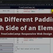 Add Different Padding To Each Side Of An Element Basic CSS FreeCodeCamp Tutorial