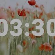 3 Minute 30 Second Timer With Relaxing Music And Alarm Countdown Clock For Stress Relief