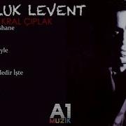 Haluk Levent Gariban
