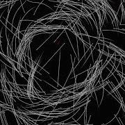 Unity Engine Boids Demo Source Code
