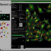 Cellpose 2 0 Tutorial How To Train Your Own Cellular Segmentation Model