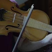 8 String Klezmer Fiddle Captivating Old New Sound Daniel Hoffman