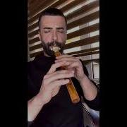 MEY ARIX Arık ZEYTİN AĞACI ADİL GÜLEN