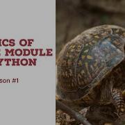 Python Turtle Module For Absolute Beginners Lesson 1