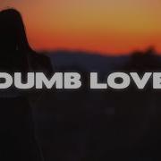 Mimi Webb Dumb Love Lyrics