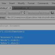 JavaScript Show And Hide DIV S With Animation