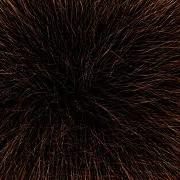Vector Field Sub Sonic Super Particles 1