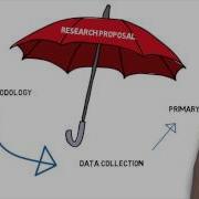 Data Collection Methods