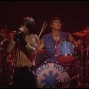 Red Hot Chili Peppers I Could Die For You Live At Olympia Paris