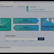 How To Do BLAST Alignment Phylogenetic Tree