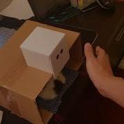 IAT320 Tangible Object