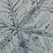 Amazing Electron Microscope Images