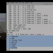 Software Carpentry September 2012 1 5 The Unix Shell